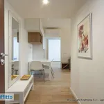 Rent 2 bedroom apartment of 50 m² in Milan