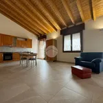 Rent 2 bedroom apartment of 100 m² in Curtatone