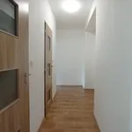 Rent 1 bedroom apartment in Sokolov