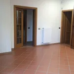 Rent 4 bedroom apartment of 80 m² in Campi Bisenzio