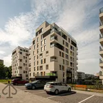 Rent 2 bedroom apartment of 47 m² in Katowice