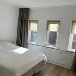 Rent 3 bedroom house of 100 m² in Leiden