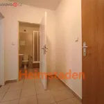 Rent 1 bedroom apartment of 30 m² in Frýdek-Místek