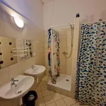 Rent 1 bedroom apartment in Brno