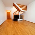 Rent 3 bedroom apartment of 76 m² in Katowice