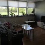 Rent 1 bedroom apartment of 42 m² in Harskamp