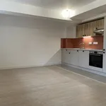 Rent 2 bedroom apartment of 52 m² in LILLE