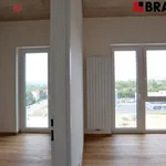 Rent 2 bedroom apartment in Brno