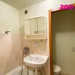 Rent 1 bedroom apartment of 21 m² in Kadaň