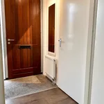 Rent 3 bedroom house of 136 m² in Maastricht