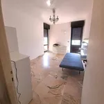 Rent 3 bedroom apartment of 110 m² in Roma