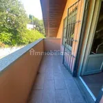 Rent 3 bedroom house of 100 m² in Turin