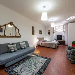 Rent 1 bedroom apartment in Florence