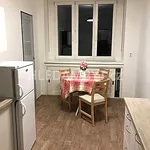 Rent 1 bedroom apartment of 40 m² in Capital City of Prague