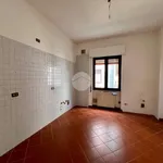 Rent 4 bedroom apartment of 130 m² in Cremona