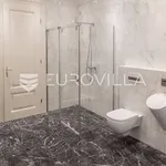 Rent 3 bedroom apartment of 200 m² in Zagreb