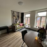 Rent 2 bedroom apartment of 37 m² in Schildersbuurt