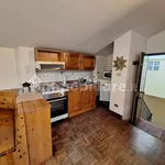 Rent 1 bedroom apartment of 50 m² in Bologna