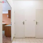 Rent 2 bedroom apartment of 44 m² in Plzeň