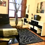 Rent 1 bedroom apartment of 30 m² in Firenze