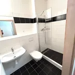 Rent 1 bedroom apartment in Praha 5