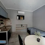 Rent 2 bedroom apartment of 45 m² in Turin