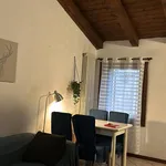 Rent 2 bedroom apartment of 45 m² in Vicenza