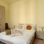 Rent 1 bedroom apartment in milan