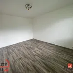 Rent 1 bedroom apartment of 37 m² in Děčín