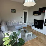 Rent 3 bedroom apartment of 75 m² in Torino