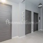 Rent 3 bedroom apartment of 80 m² in Turin