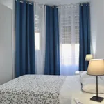 Rent 1 bedroom apartment in Madrid