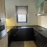 Rent 4 bedroom apartment of 91 m² in budapest