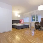 Najam 3 spavaće sobe stan od 150 m² u City of Zagreb