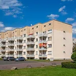 Rent 2 bedroom apartment of 54 m² in Bergkamen