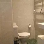 Pronajměte si 1 ložnic/e byt o rozloze 30 m² v Prague