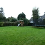 Rent 4 bedroom house in STERREBEEK