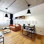 Rent 1 bedroom apartment of 34 m² in Brno