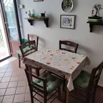 Rent 3 bedroom apartment of 90 m² in Trecchina