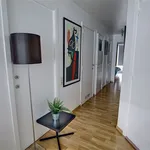 Rent 1 bedroom apartment in Kortrijk