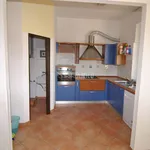 Rent 4 bedroom apartment of 80 m² in Livorno