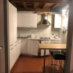 Rent 3 bedroom apartment of 60 m² in Firenze