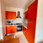 Rent 1 bedroom apartment of 30 m² in Perugia