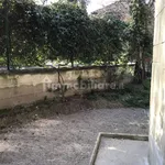 Rent 2 bedroom apartment of 40 m² in Bologna