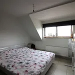 Rent 2 bedroom apartment in Opwijk