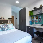 Rent 1 bedroom apartment in London