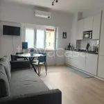 Rent 2 bedroom apartment of 50 m² in Roma