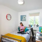 Rent 1 bedroom apartment in Manchester