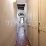 Rent 3 bedroom apartment of 60 m² in Firenze