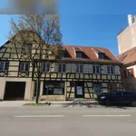 Rent 1 bedroom apartment in Strasbourg